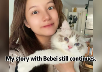 A dying animal barely breathing through torment