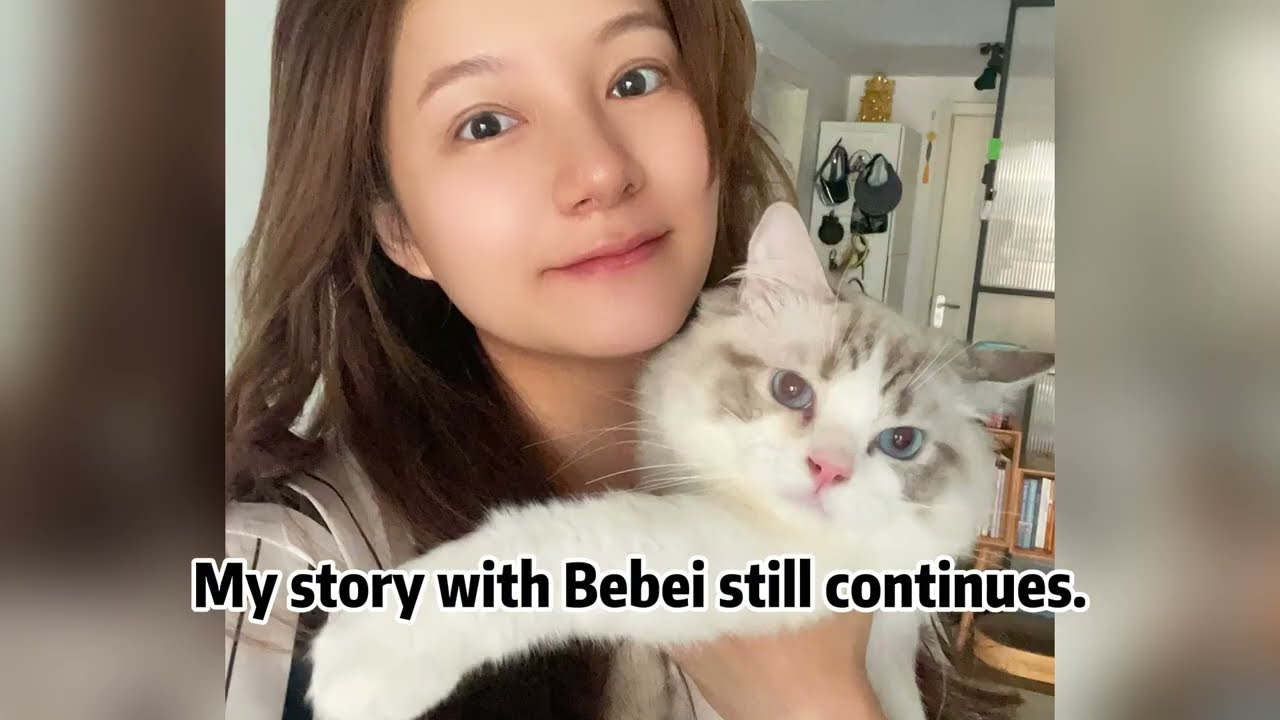 A dying animal barely breathing through torment