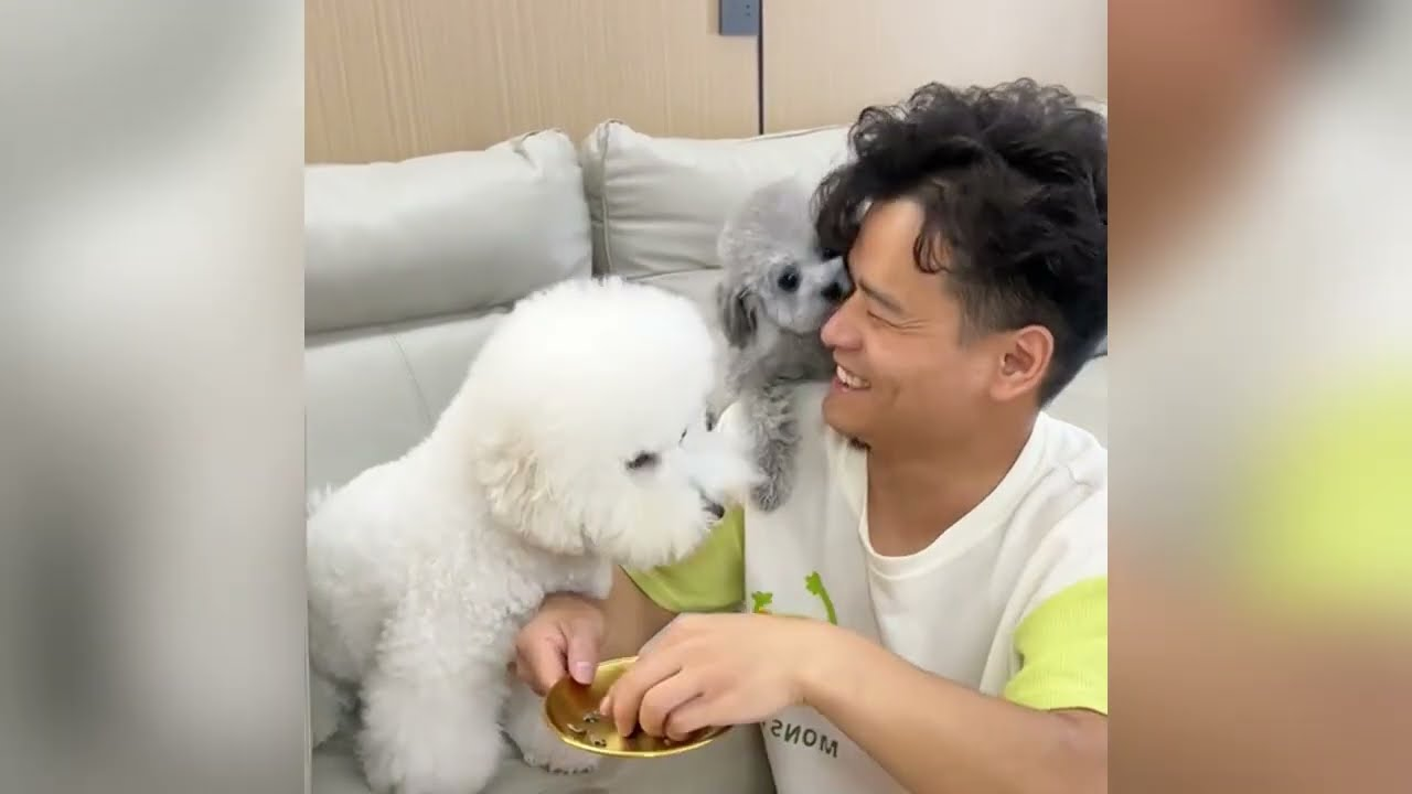 A suffering animal overwhelmed by relentless pain